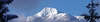 Alpen Suite Hotel 